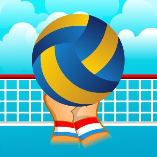 poster of Volleyball Sport Game game