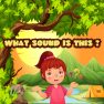 poster of What sound is this ? game