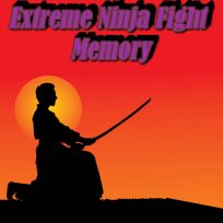 poster of Extreme Ninja Fight Memory game