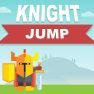 poster of knight jump game