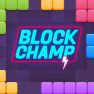 poster of Block Champ game