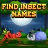 poster of Find Insects Names game