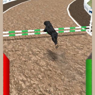 poster of Dog Racing Simulator game