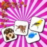 poster of Animals Memory game