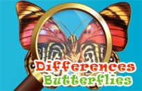 poster of Differences Butterflies game