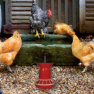 poster of Poultry Farm Easter Escape game