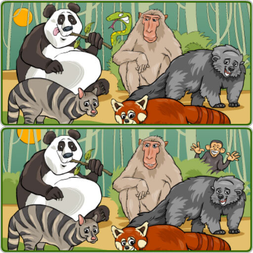 poster of Play Wildlife Safari Five Diffs Game Online 2024 game