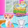 poster of Little Princess Kitten Rescue game