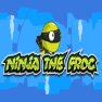 poster of Ninja the Frog game