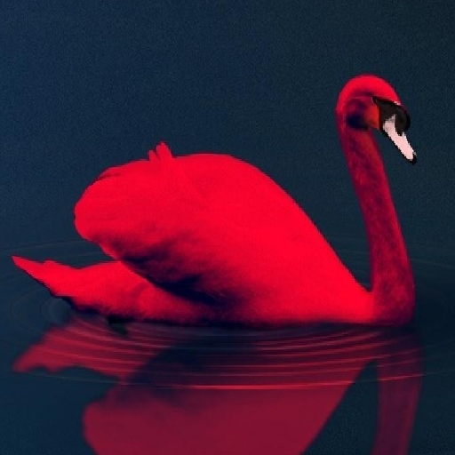 poster of Play Love Birds Puzzle Game Online 2024 game