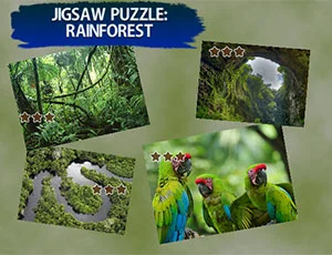 poster of Play Jigsaw Puzzle Rain Forest Game Online 2024 game