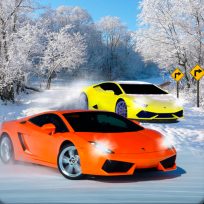 poster of Snow Track Racing 3D game