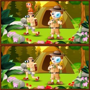 poster of Spot 5 Differences Camping game