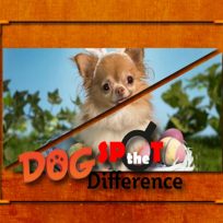 ملصق اللعبة Dog Spot the Difference