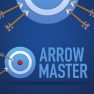 poster of Arrow Master game