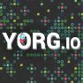 poster of YORG.io game