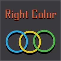 ملصق اللعبة Right Color