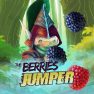 poster of Berries Jumper game