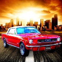 ملصق اللعبة Daily Mustang Jigsaw