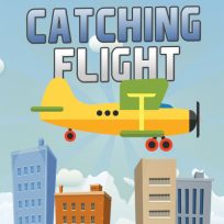 poster of Catching Flight game