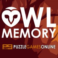 poster of Owl Memory game