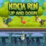 poster of Ninja Run Up and Down game