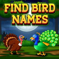 ملصق اللعبة Find Birds Names