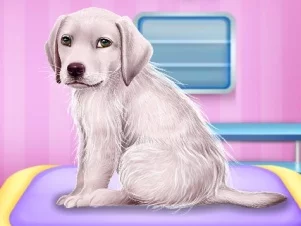 poster of Play Labrador at the Doctor Salon Game Online 2024 game