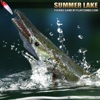 ملصق اللعبة Summer lake 1.5