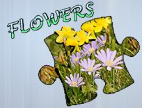 ملصق اللعبة Jigsaw Puzzle: Flowers