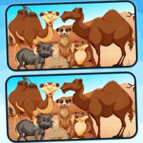 poster of Spot 5 Differences Deserts game