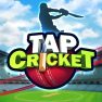 poster of Tap Cricket game