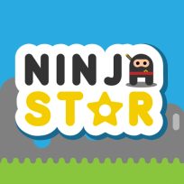 poster of Ninja Star game