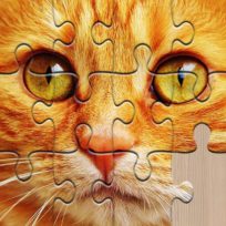 ملصق اللعبة Unlimited Jigsaw Puzzles