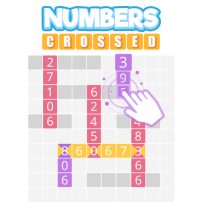 poster of Numbers crossed game