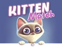 ملصق اللعبة Kitten Match