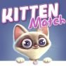 poster of Kitten Match game