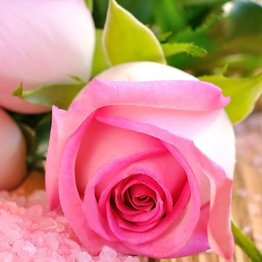 poster of Play Pink Roses Puzzle Game Online 2024 game