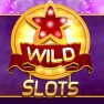 poster of Wild Slot game