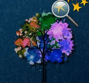 poster of Play Forest Hidden Stars Game Online 2024 game
