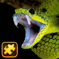 poster of Snake Puzzle Challenge game