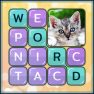 poster of Word Search Pictures game