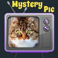 poster of Mystery Pic game