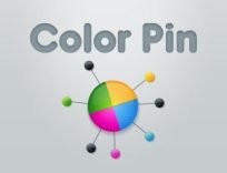 ملصق اللعبة Color Pin