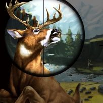 poster of Deer Hunter game