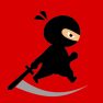 poster of Mr Ninja Fighter game