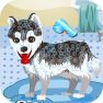 poster of My Cute Dog Bathing game