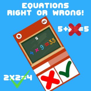 poster of Equations Right or Wrong! game