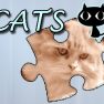 ملصق اللعبة Jigsaw Puzzle: Cats