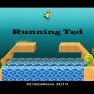 poster of Running Ted game